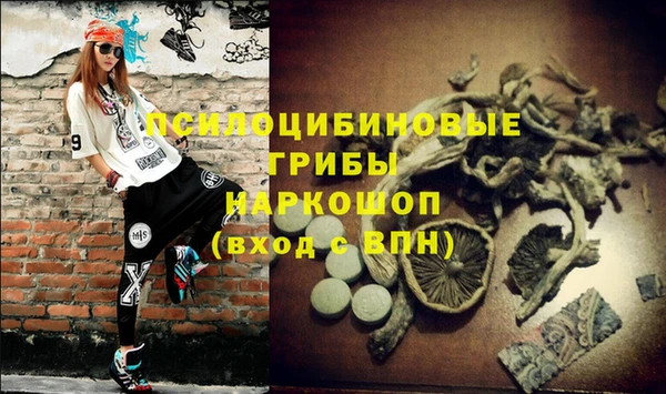 spice Белокуриха