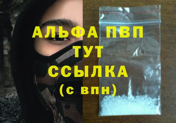 spice Белокуриха