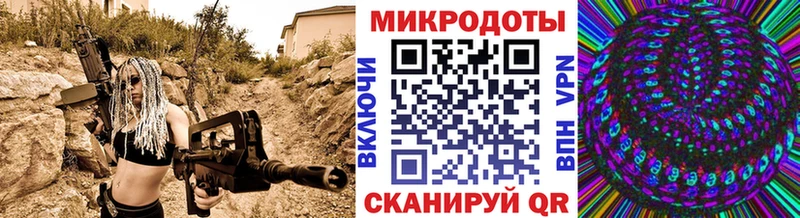 Галлюциногенные грибы Psilocybine cubensis  Няндома 